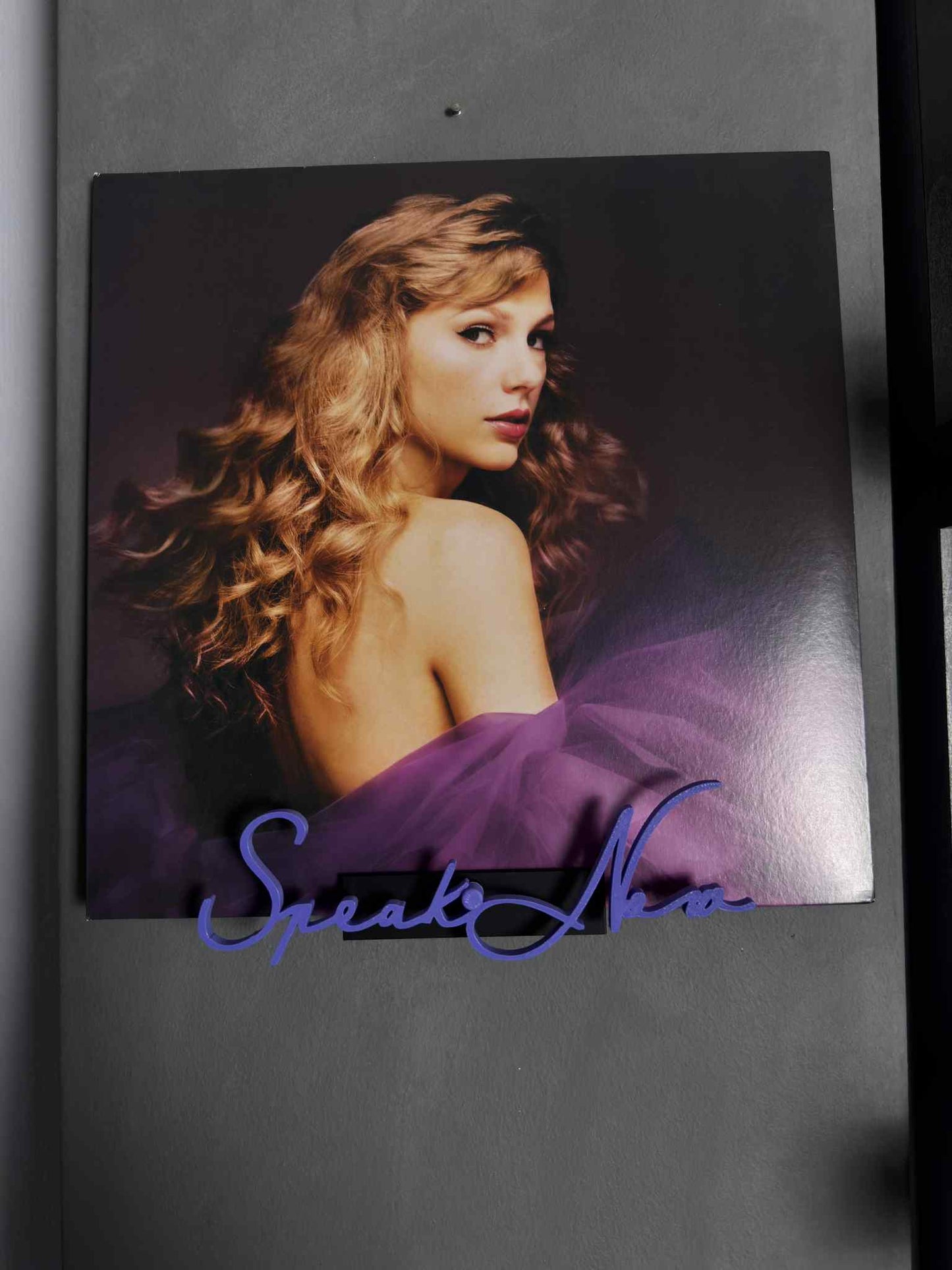 Speak Now - Taylor Swift (Wall Displayer)