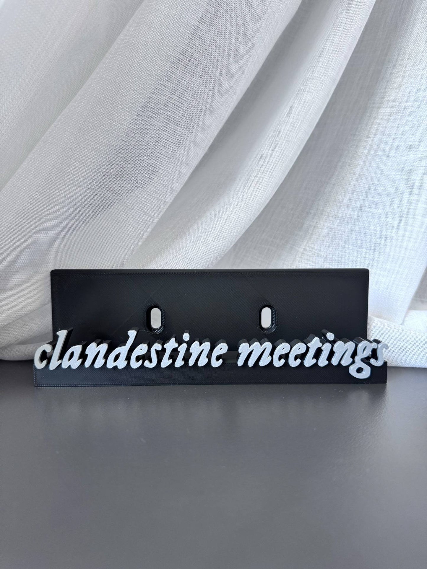 Clandestine Meetings - Taylor Swift (Display Stand)
