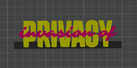 Invasion Of Privacy - Cardi B (Display Stand)