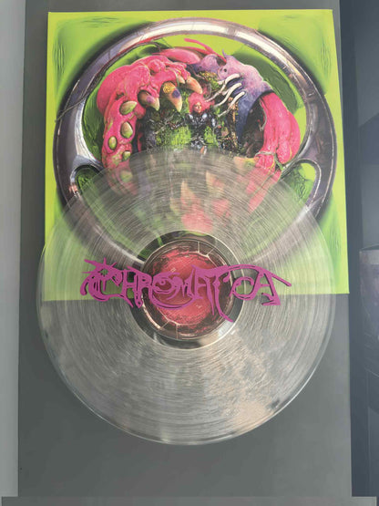 Chromatica - Lady Gaga (Wall Displayer)