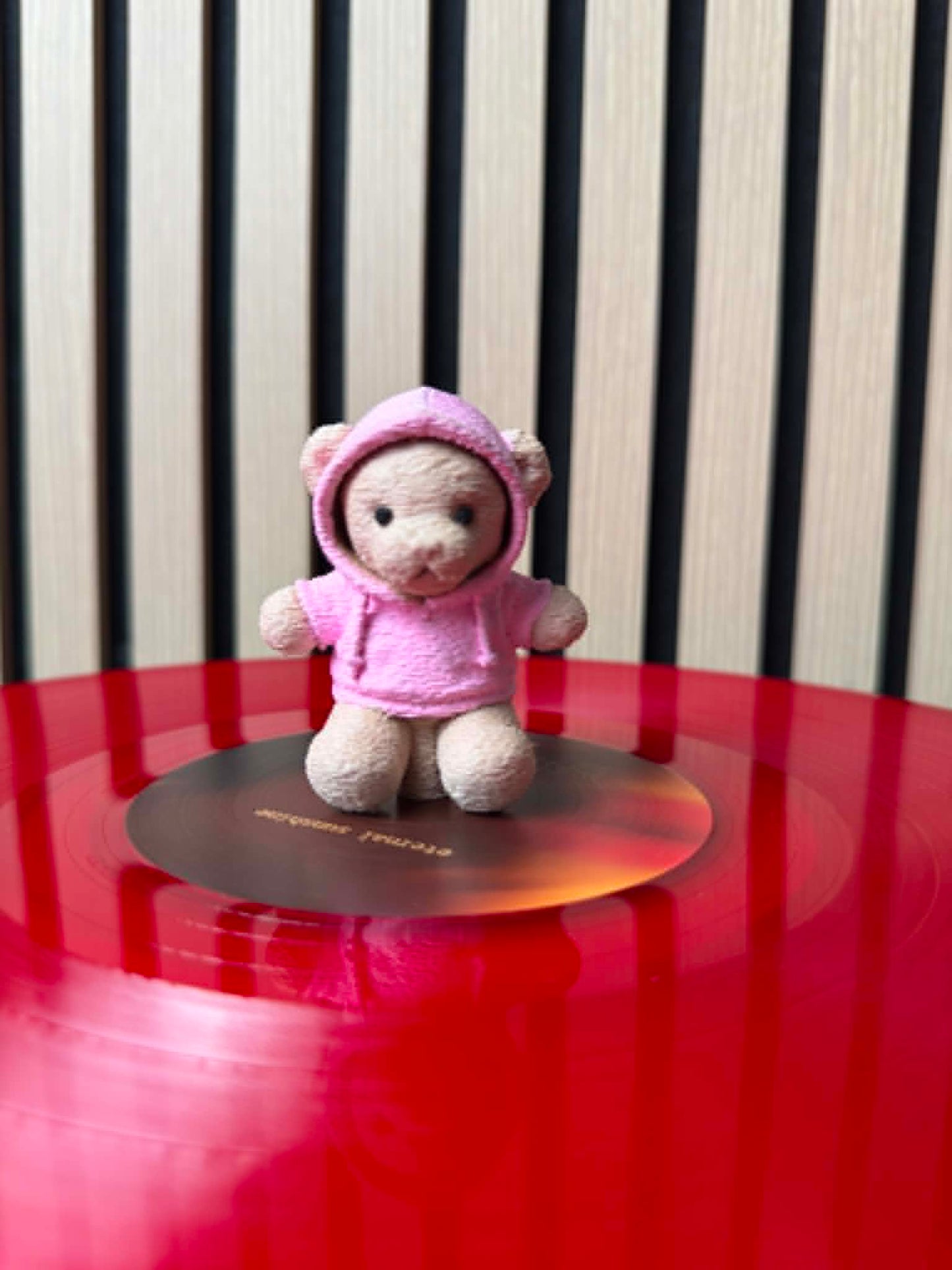 We Can't Be Friends Teddy Bear (Vinyl Charm)