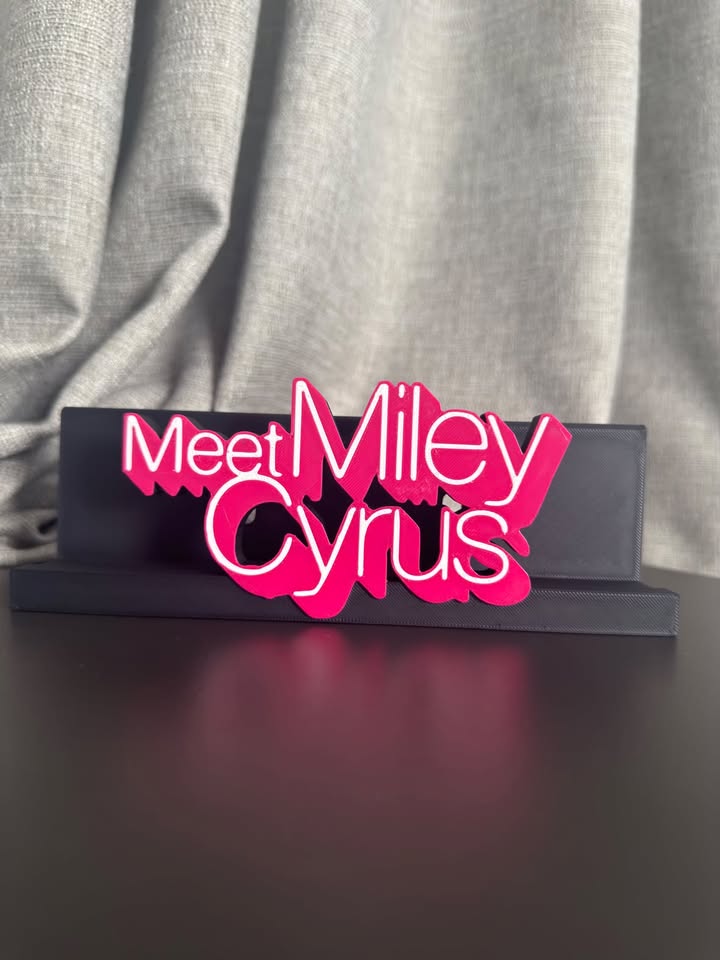 Meet Miley Cyrus - Miley Cyrus (Display Stand)