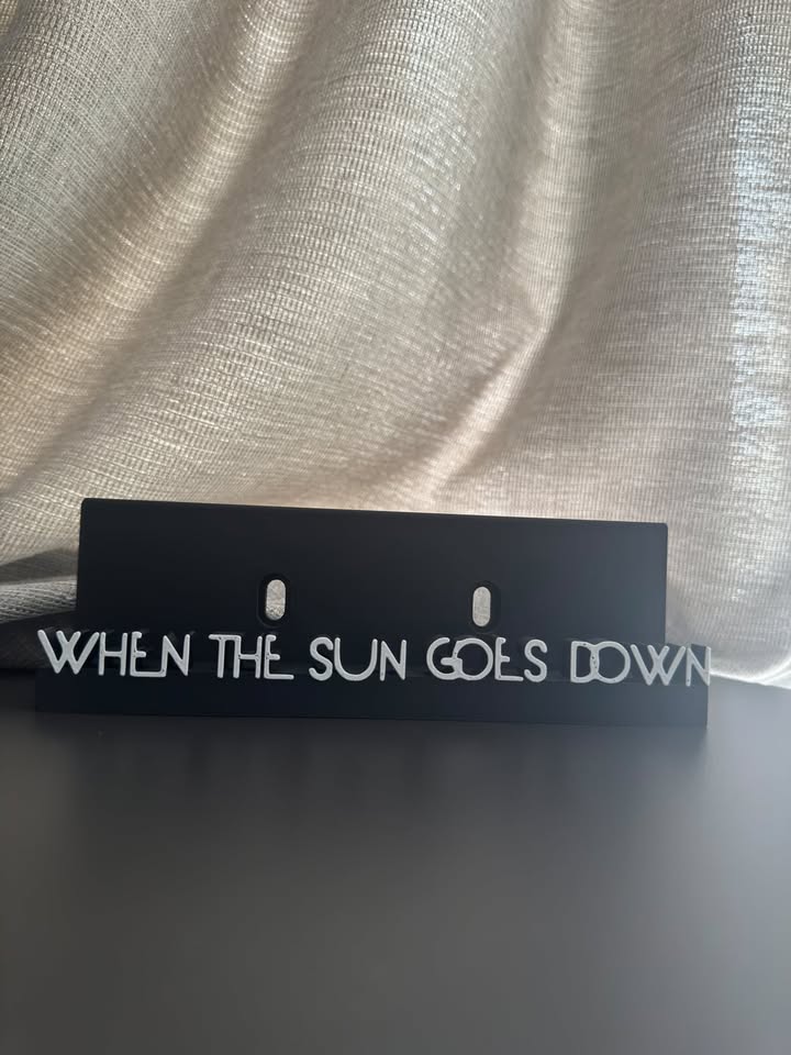When The Sun Goes Down - Selena Gomez & The Scene (Display Stand)