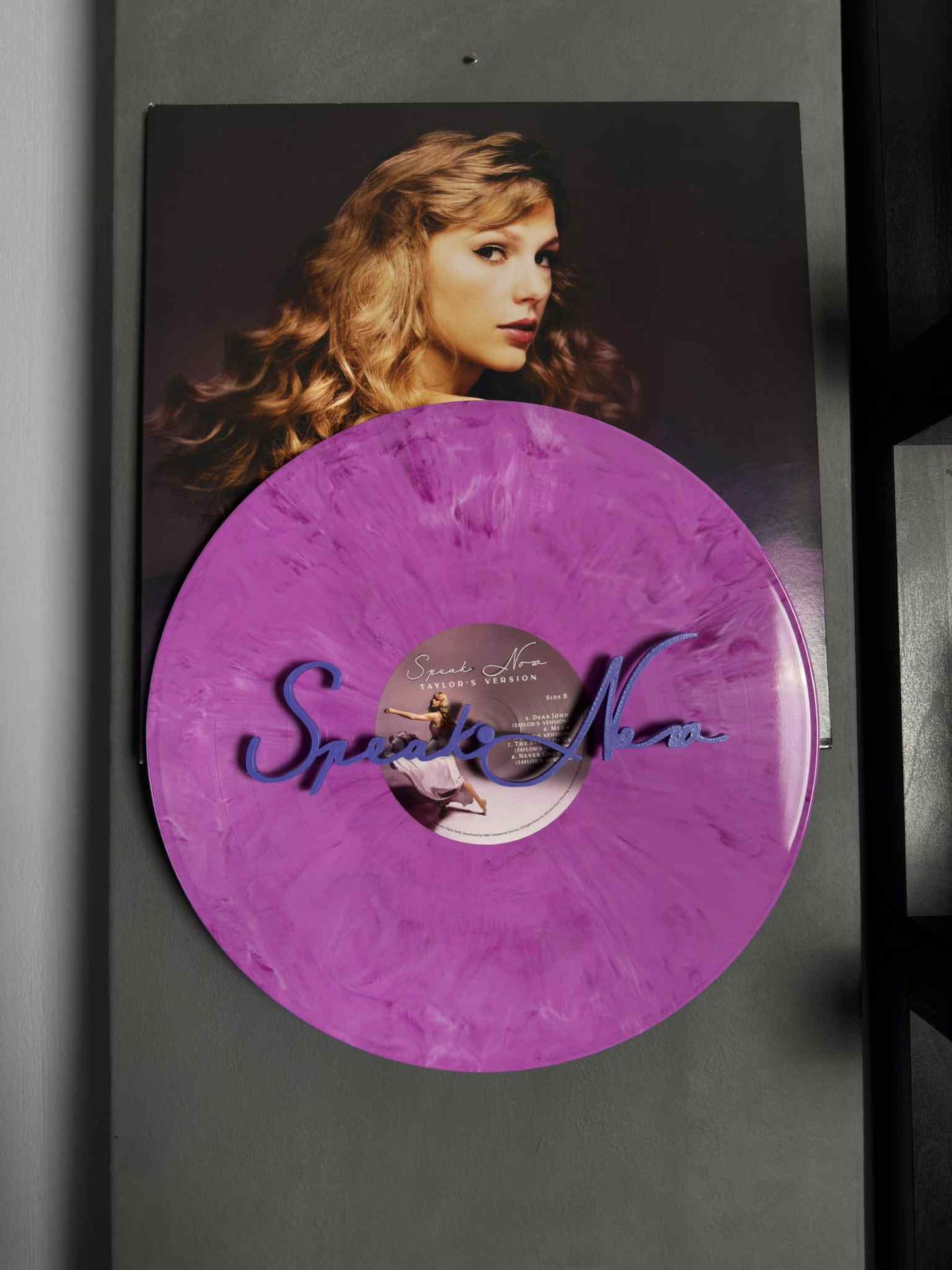Speak Now - Taylor Swift (Wall Displayer)
