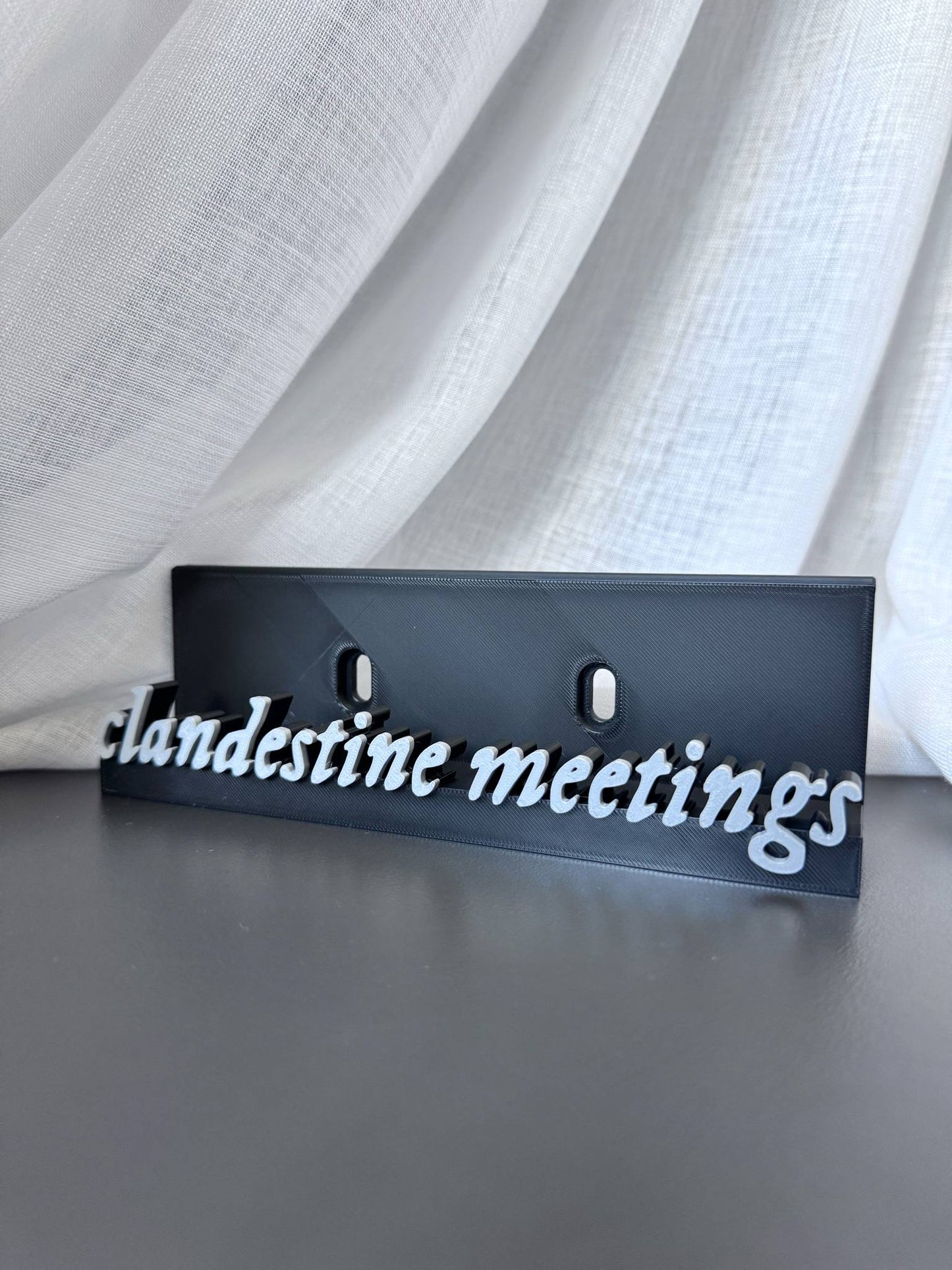 Clandestine Meetings - Taylor Swift (Display Stand)