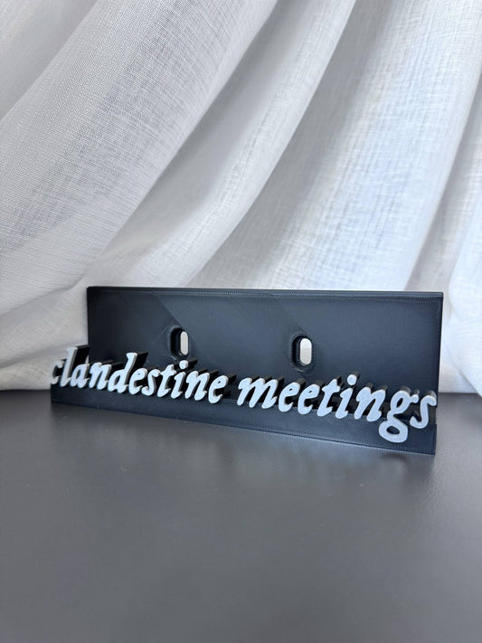 Clandestine Meetings - Taylor Swift (Display Stand)