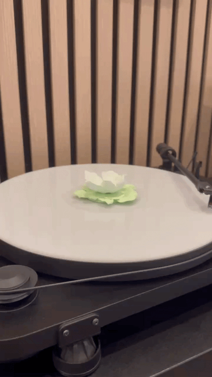 Petal (Vinyl Charm)