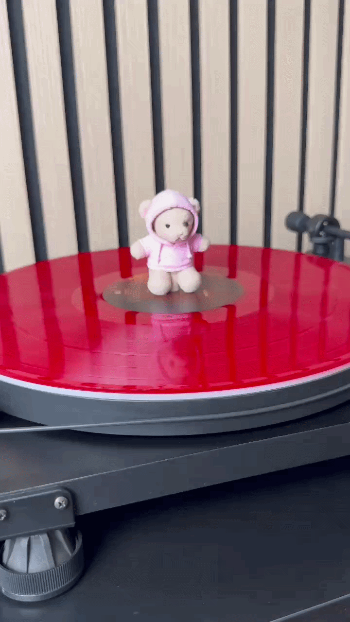 We Can't Be Friends Teddy Bear (Vinyl Charm)