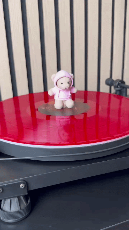 We Can't Be Friends Teddy Bear (Vinyl Charm)
