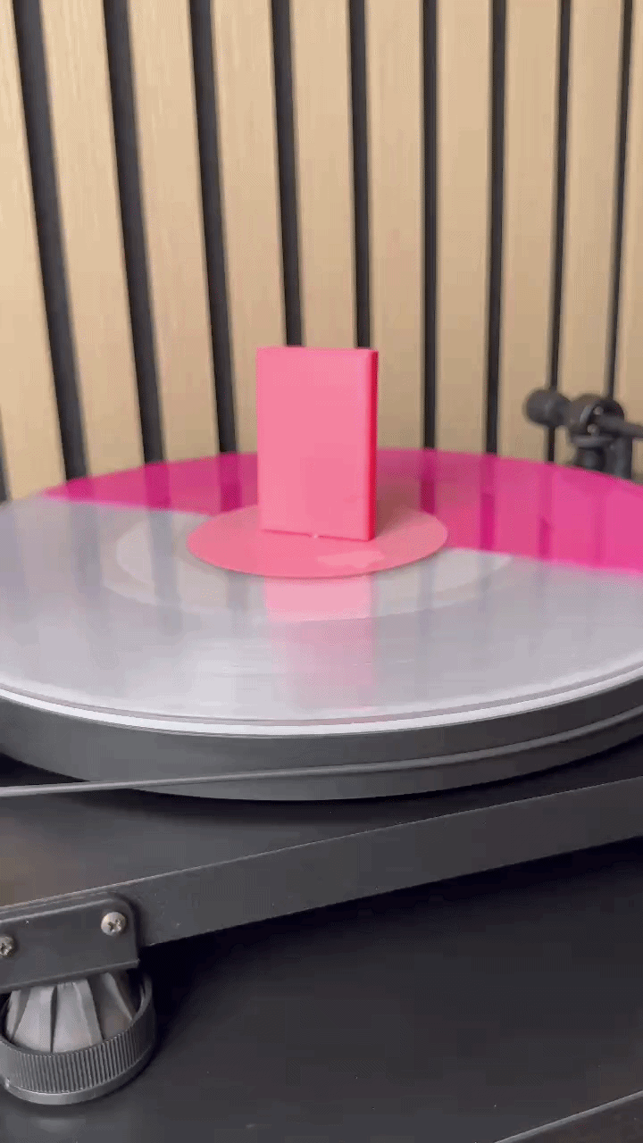 Burnbook (Vinyl Charm)