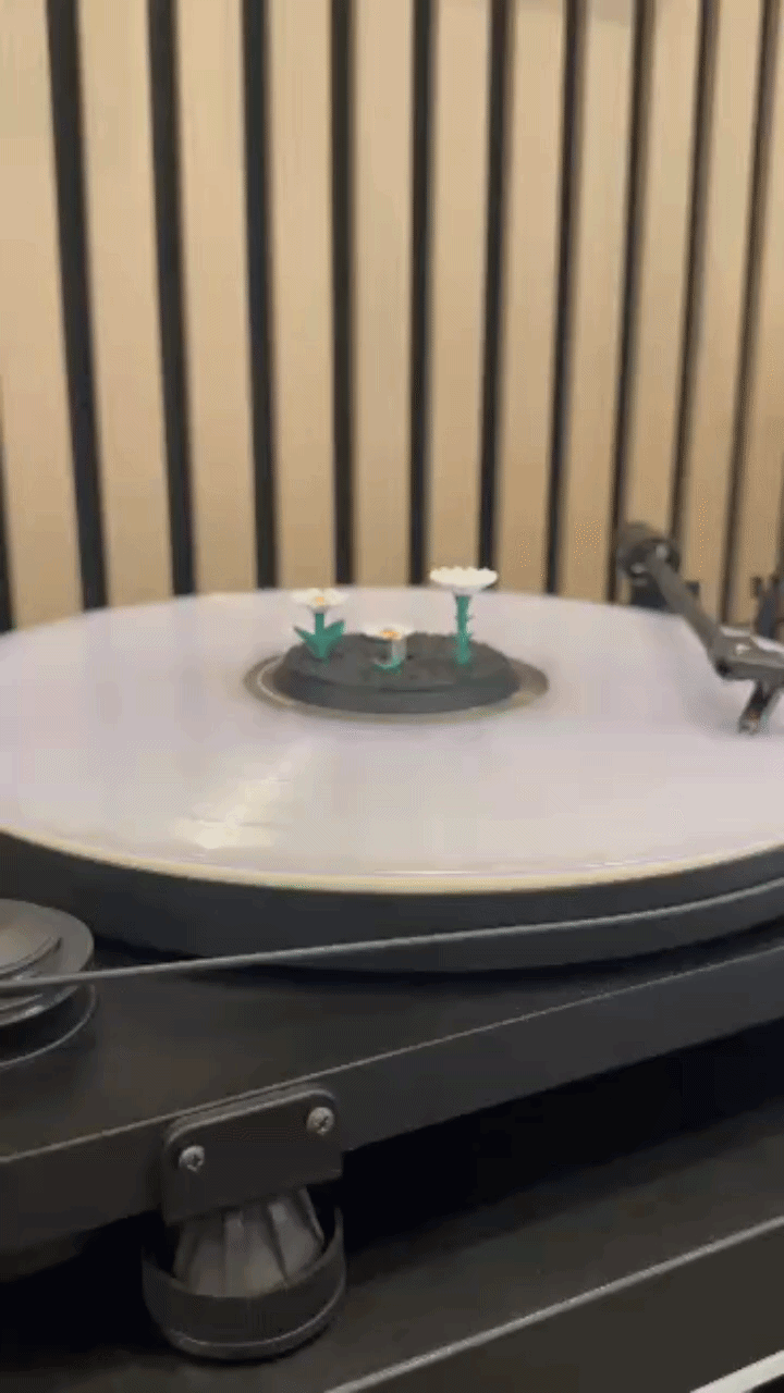 Petal In The Pavement (Vinyl Charm)