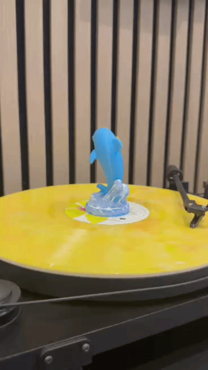 Never Ending Dolphin (Vinyl Charm)