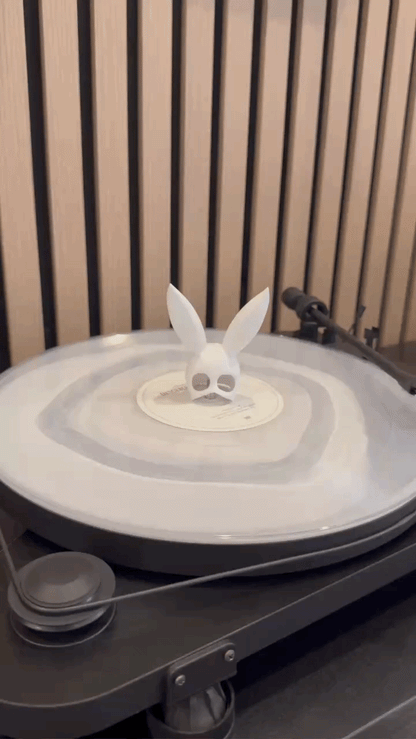 Dangerous Woman Mask (Vinyl Charm)