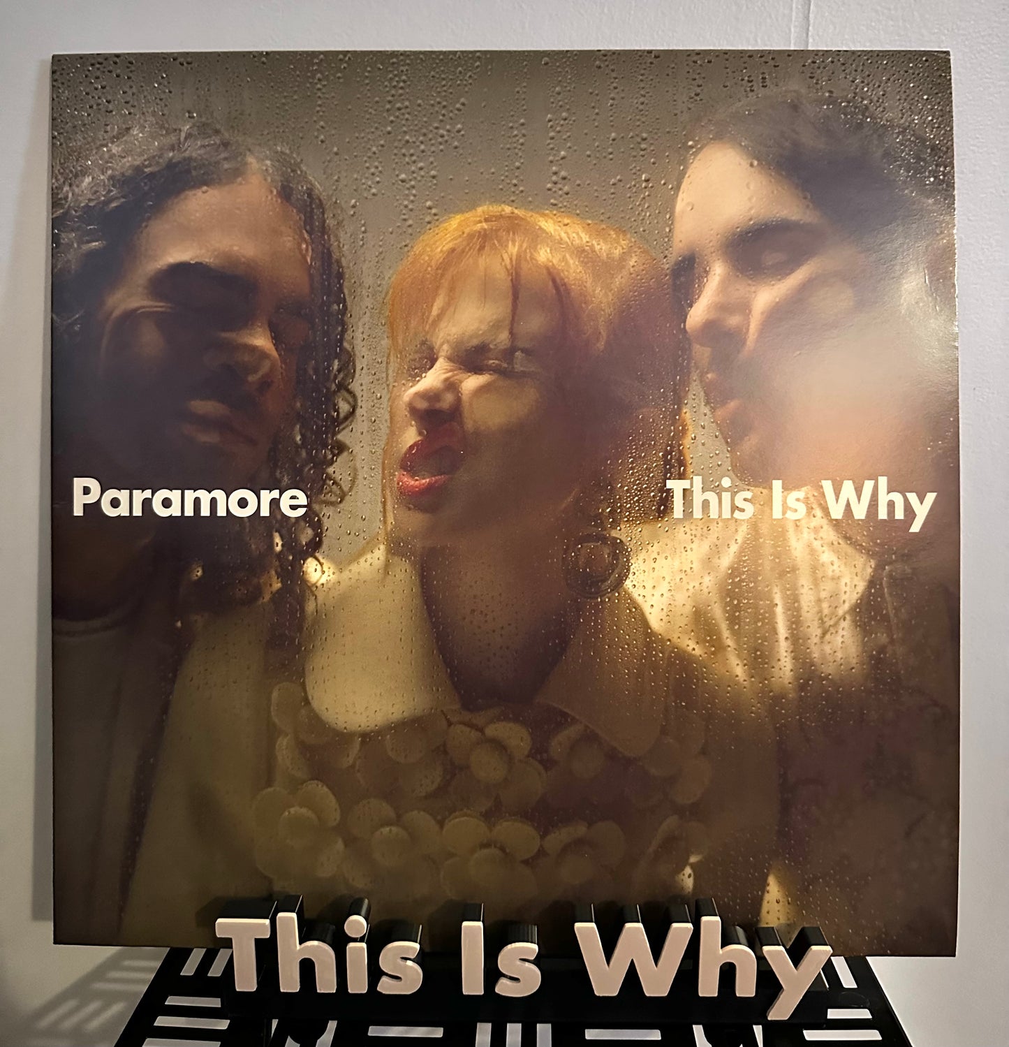 This Is Why - Paramore (Display Stand)