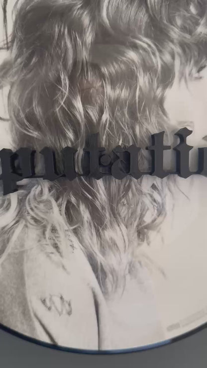 Reputation - Taylor Swift (Wall Displayer)